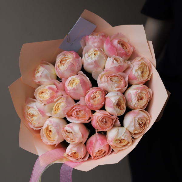 Princess Aiko garden roses - 23 розы