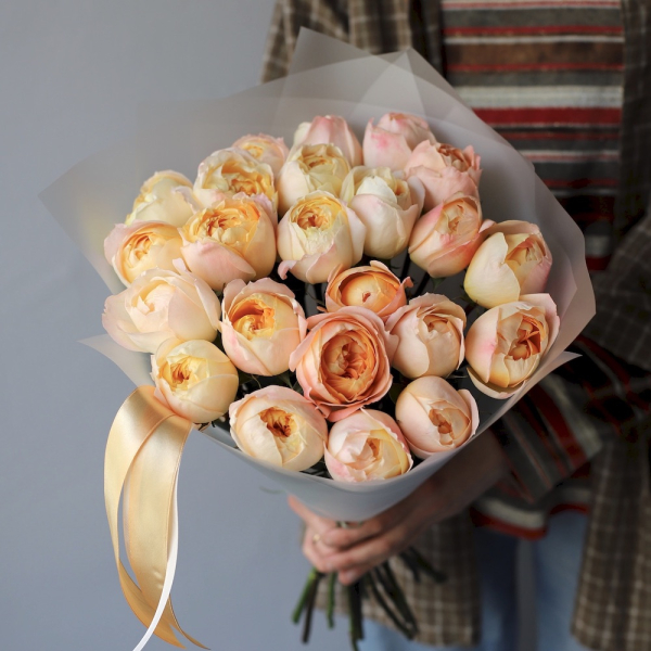 Princess Aiko garden roses - 23 розы 