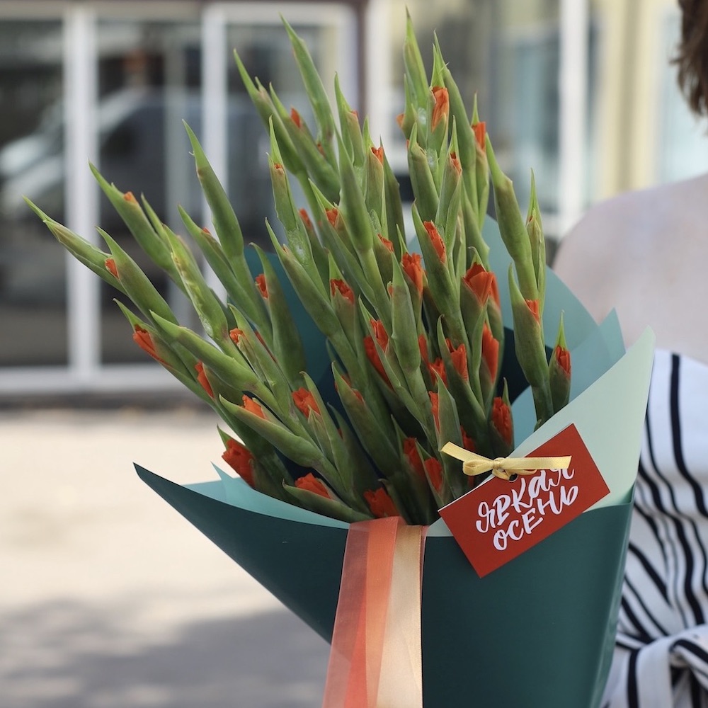 “Orange Gladiolus”