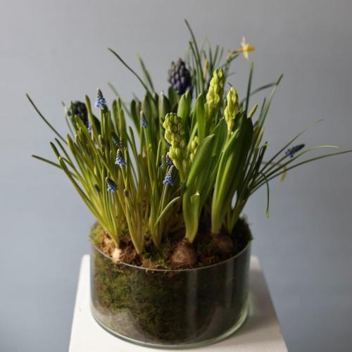 Весенние цветы в вазе - Размер L 