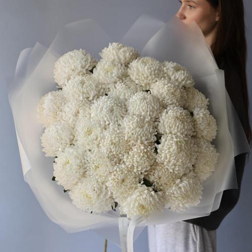 Large white Chrysanthemum -  29 хризантем 