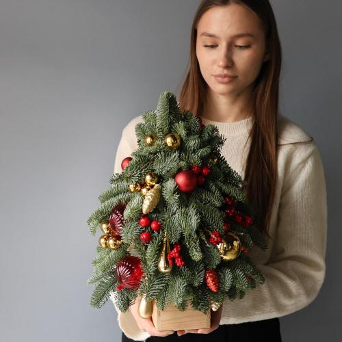 Mini Christmas Tree 'Golden red'