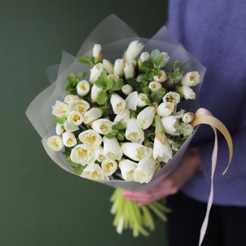 White Daffodils -  49 нарциссов 