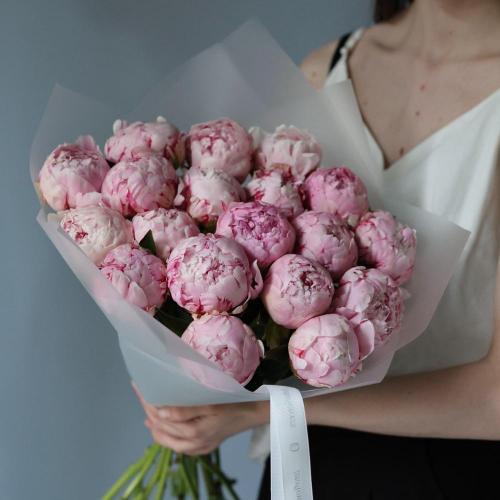 Pink Peony -  19 пионов 