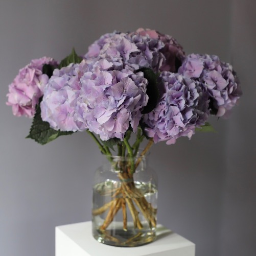 Hydrangeas in a vase -  9 гортензий  (ваза может отличаться) 