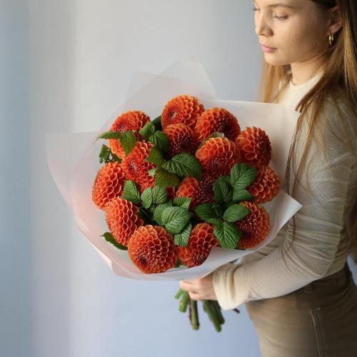 Orange Dahlia -  15 георгин