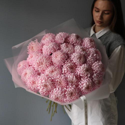 Large pink Chrysanthemum -  29 хризантем 