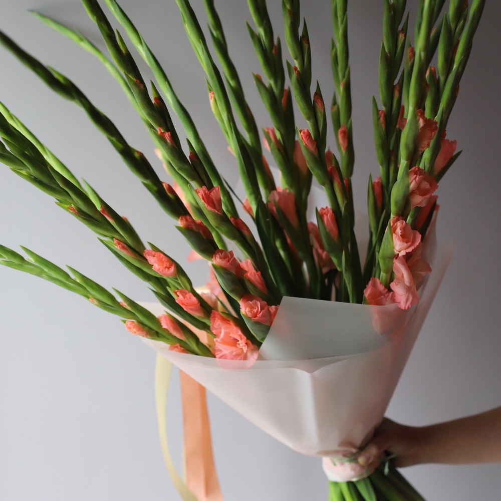 “Orange Gladiolus”
