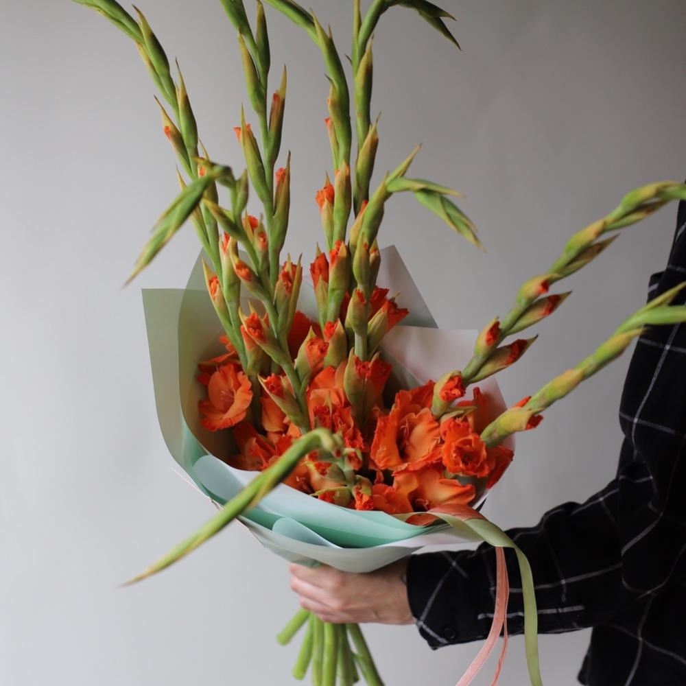 “Orange Gladiolus”