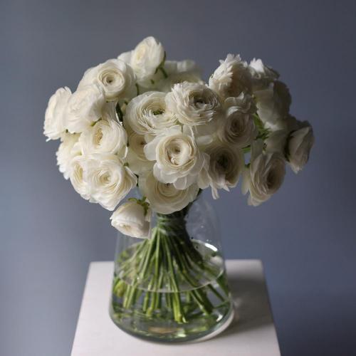Ranunculus in a vase -  49 ранункулюсов 