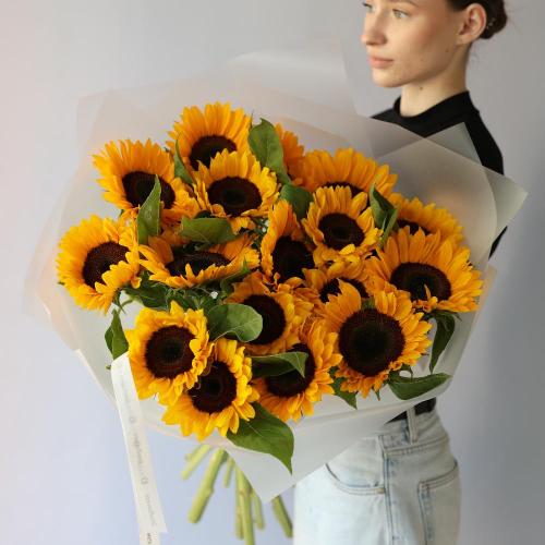 Sunflower - 19 подсолнухов 