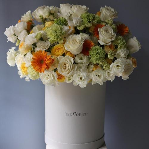 Sunny signature hat box -  Размер 2XL