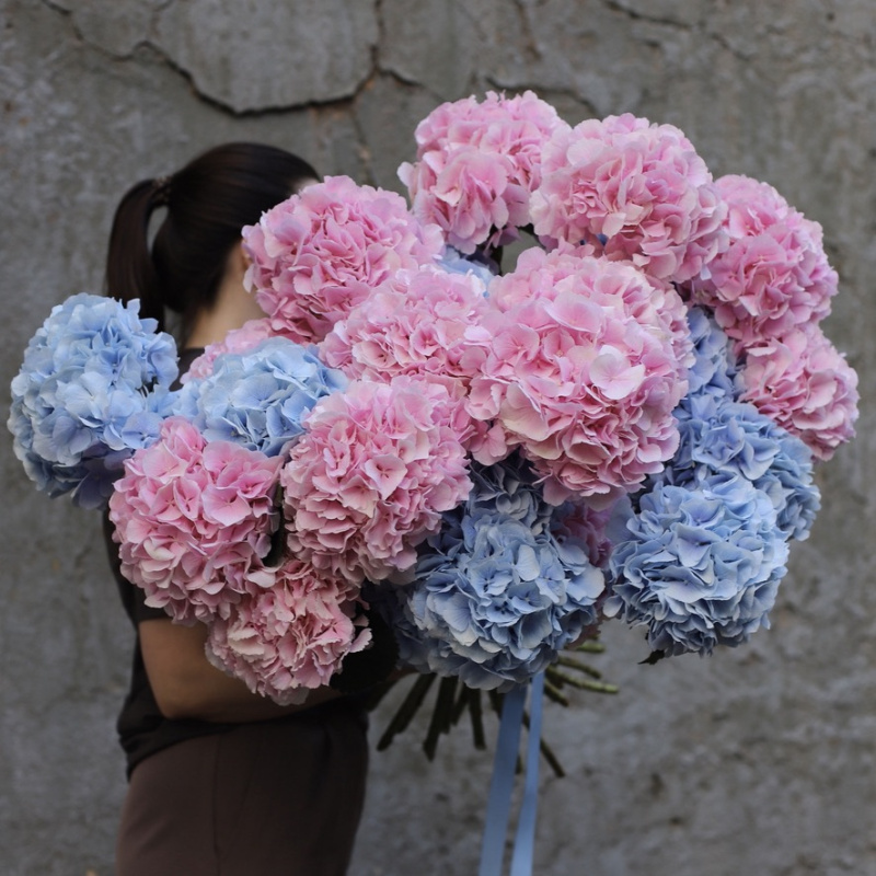 Hydrangeas in Bouquets: Season, Symbolism and Care Tips