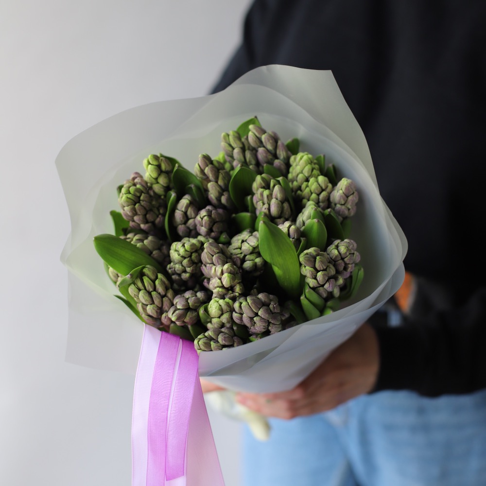 “Purple Hyacinthus”