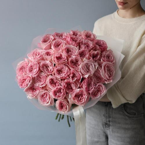 Pink Ohara Garden Rose -  35 роз