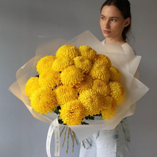 Large yellow Chrysanthemum -  19 хризантем 