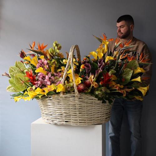 Signature basket "Tropical Mix" -  Размер 5XL - 6XL