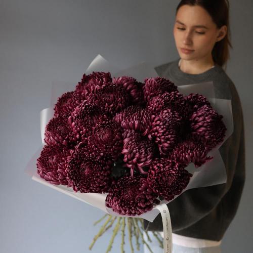 Violet Chrysanthemum -  19 хризантем 