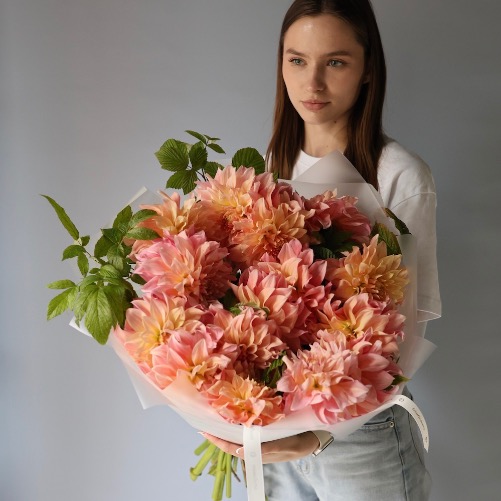 Dahlia Cafe au Lait - 9 георгин 