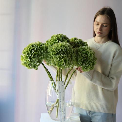 Hydrangeas in a vase -  5 гортензий