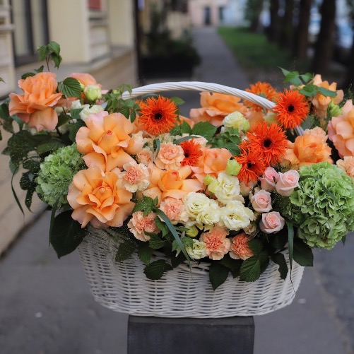 Orange Signature basket -  Размер 3XL 