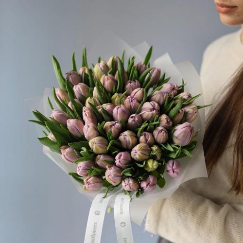 Lilac Tulips -  49 тюльпанов 