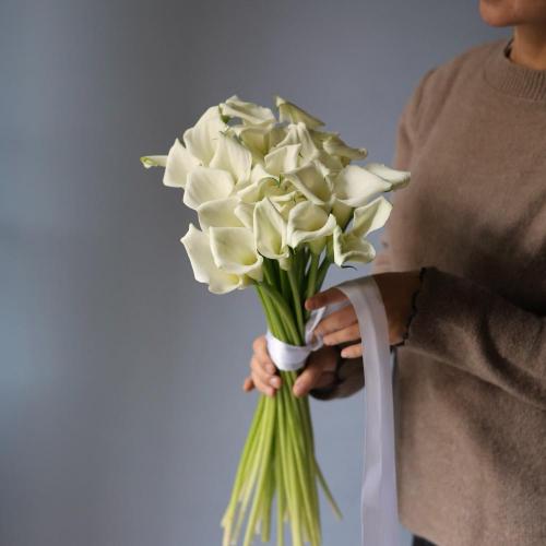 White Calla Lily -  29 калл