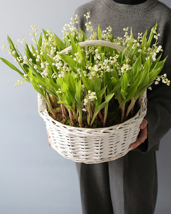 “Lily of the Valley in a basket”