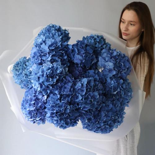 Blue Hydrangea - 15 гортензий 