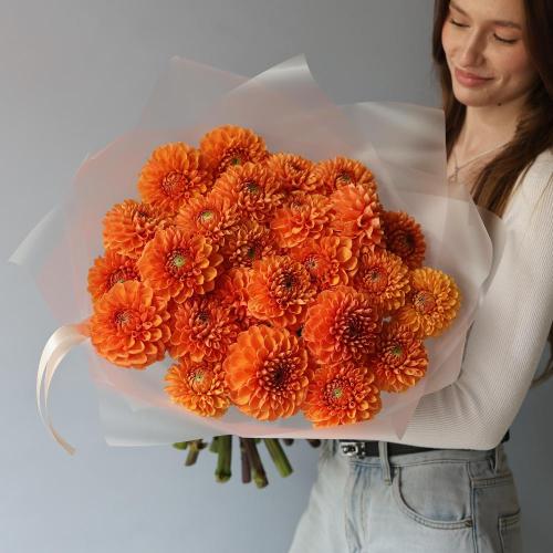 Orange Dahlia -  25  георгин 