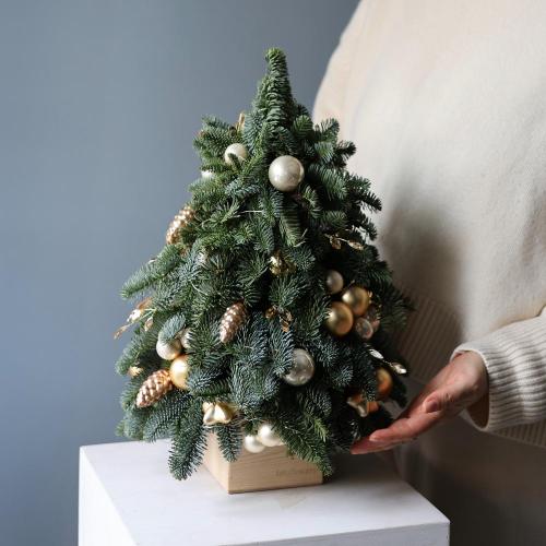 Mini Christmas Tree 'Champagne splashes'