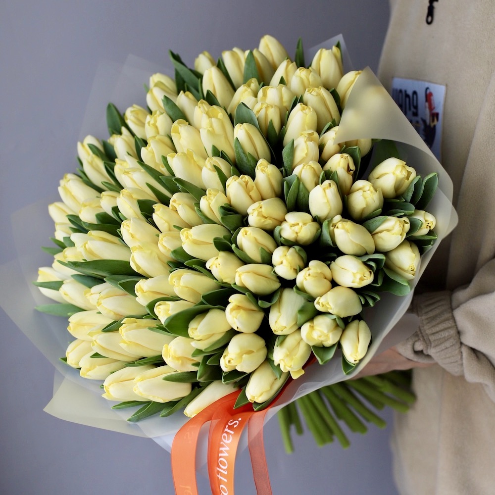 “Yellow Tulips”