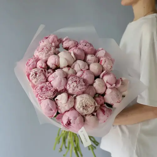 Pink Peony -  35 пионов 