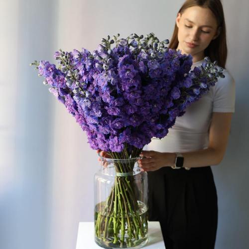 Delphinium in a vase - 49 дельфиниумов 