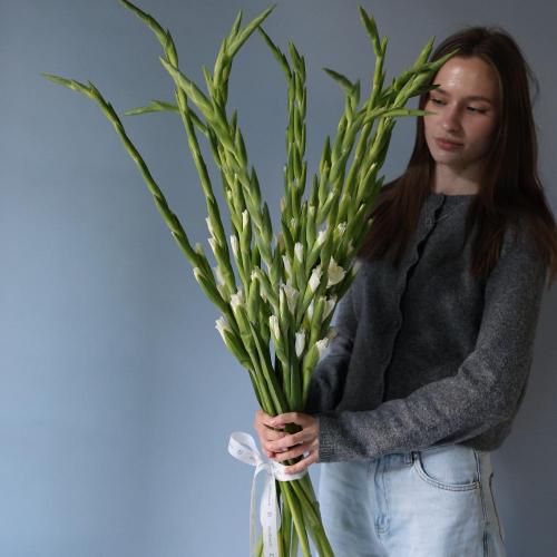 White Gladiolus -  19 гладиолусов