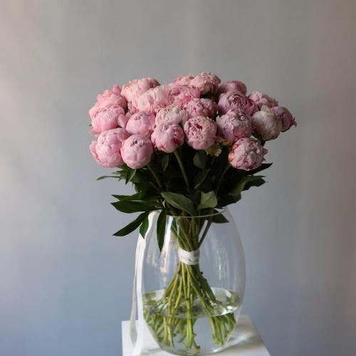 Pink Peonies in a vase -  29 пионов 