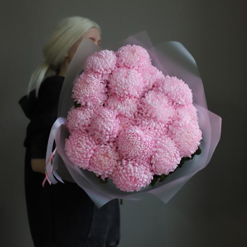 Large pink Chrysanthemum -  19 хризантем 