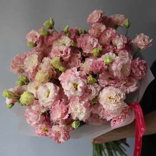 Light pink Lisianthus - 29 эустом 
