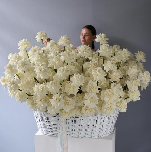 Basket of roses "Creamy Gelato" -  Размер 5XL