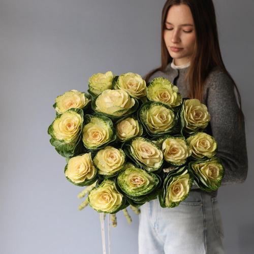 Brassica -  19 брассик