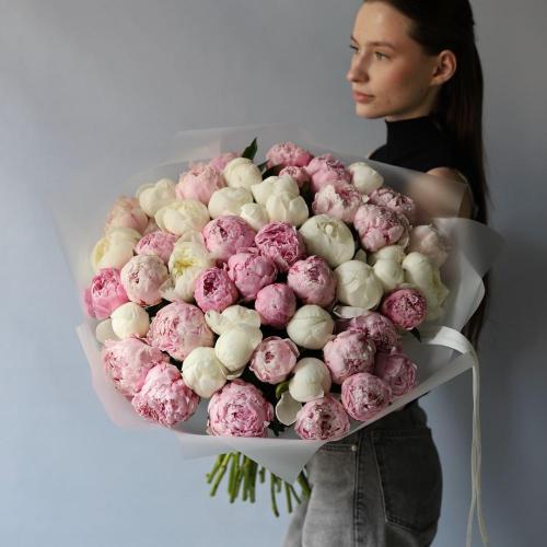 Mixed color Peony -  49 пионов