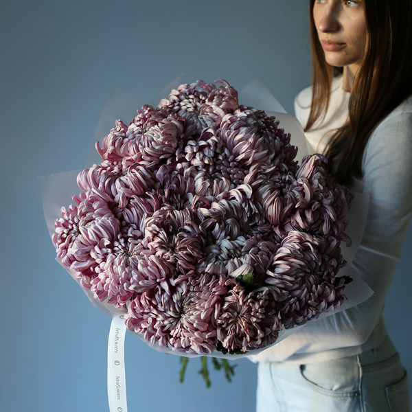 Curly lilac Chrysanthemum -  19 хризантем