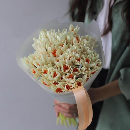 Cream Daffodils Strauss -  49 нарциссов 