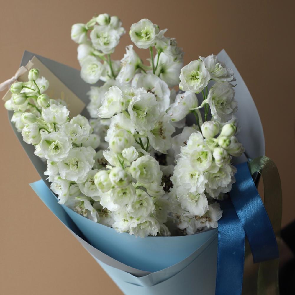 “White Delphinium”, size 9