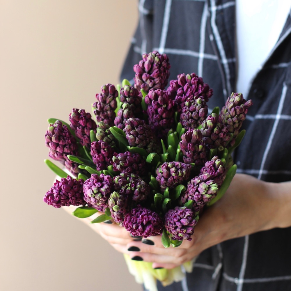 “Purple Hyacinthus”, size 25