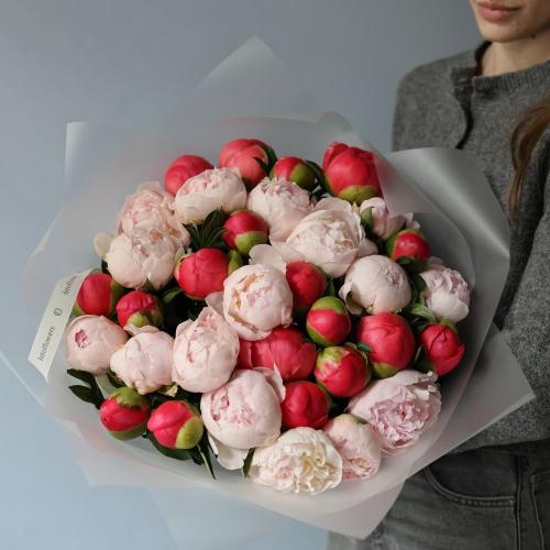 Mixed color Peony - 35 пионов 