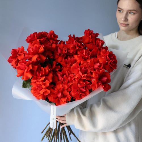 Bouquet of scarlet roses "Nina" -  25 роз