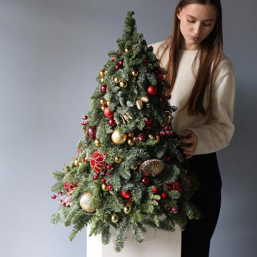 Christmas Tree 'Golden red' -  75 см