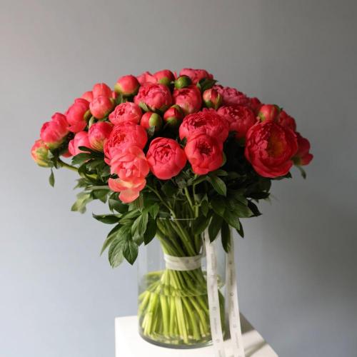 Peony in a vase -  49 пионов