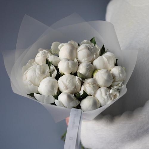 White Peony -  15 пионов